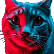 767637307