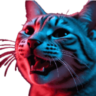 767637316