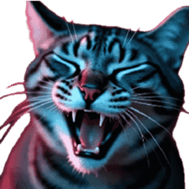 767637318
