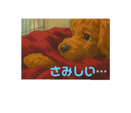 767644766
