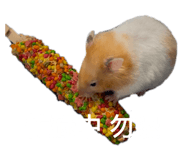 767644780