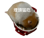 767644785