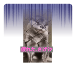 767645440