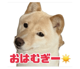 767650970