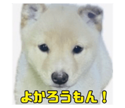 767650977