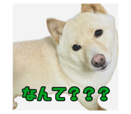 767650984