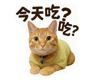 767654946