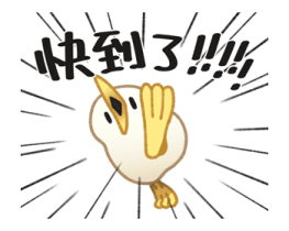 767656756