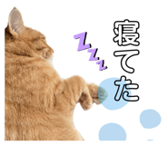 767657772