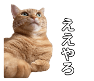 767657784