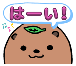 767672970