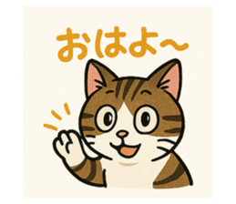 767686585