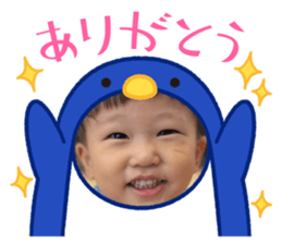 767686813