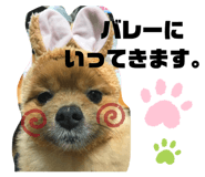 767688774