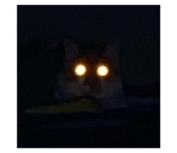 767690477