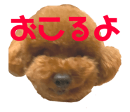 767691770