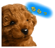 767691774