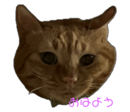 767696638