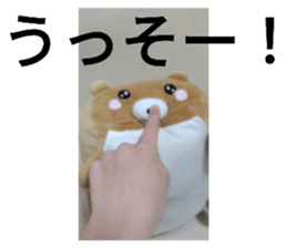 767698135