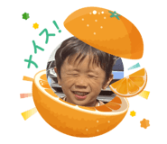 767700019