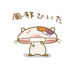 7677006