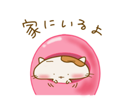 7677007