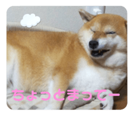 767703377