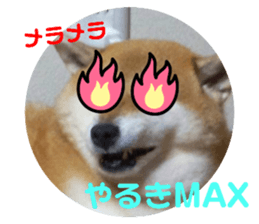 767703378