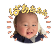 767705316