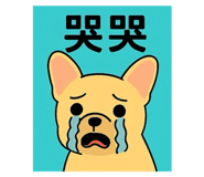767706351