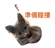 767724559