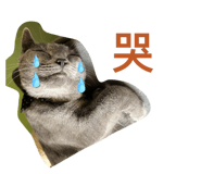 767724560
