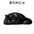 767727430