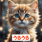 767730303