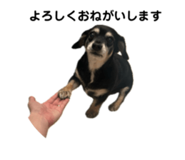 767734802