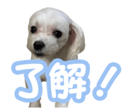 767773642
