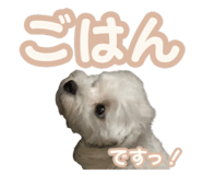 767773643