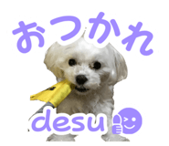 767773646