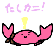 767774231