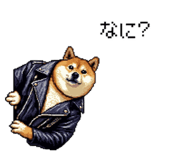 767775816