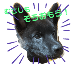 767792732