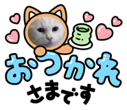 767794666