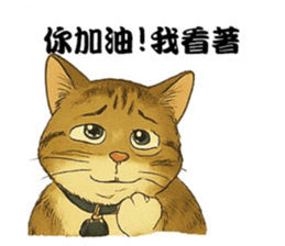 767795225