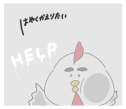 767797382