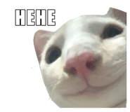 767797657