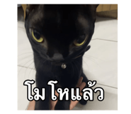 767797658