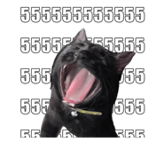 767797659