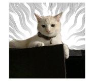 767797660