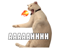 767797663