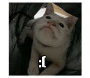 767797665